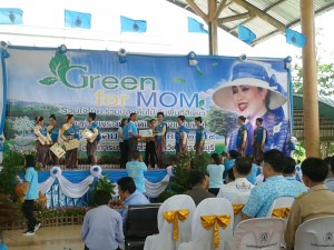 green for mom  19