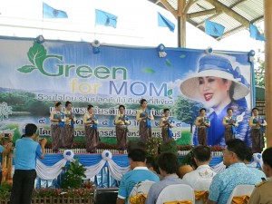 green for mom  20