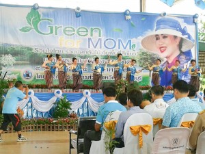 green for mom  21