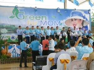 green for mom  24