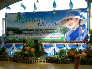 green for mom  38