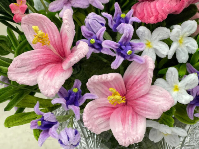 594281804_1818112759130129_4039160473565333184_n