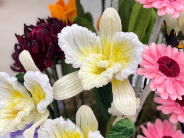 595554185_1818112772463461_7601470587583347225_n