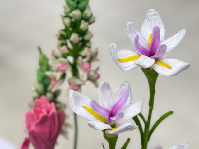 595900863_1818112465796825_4041604589858325287_n