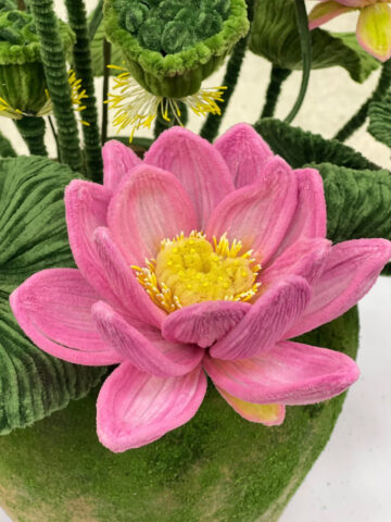 597119733_1818112639130141_1296848769162047904_n