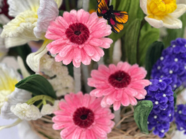 597816437_1818112352463503_614987765669349221_n