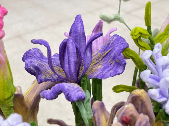 597832519_1818112362463502_641740205644969265_n