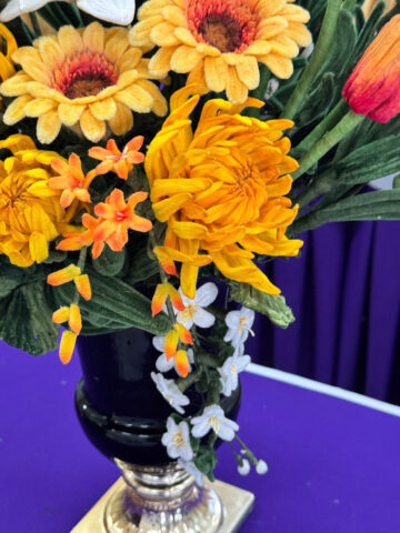 603805908_1829534024654669_3807196394053195513_n