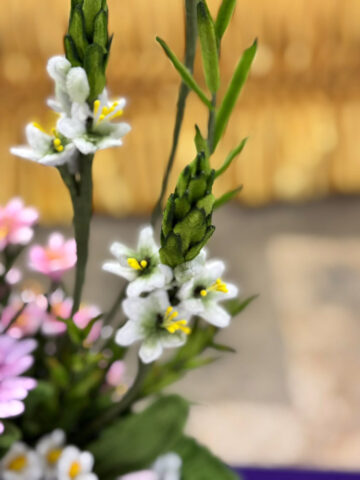 603864067_1829534757987929_1164087246823730997_n