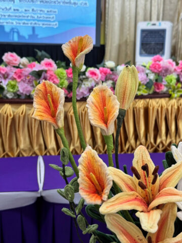 605122357_1829529854655086_1879743521465883205_n