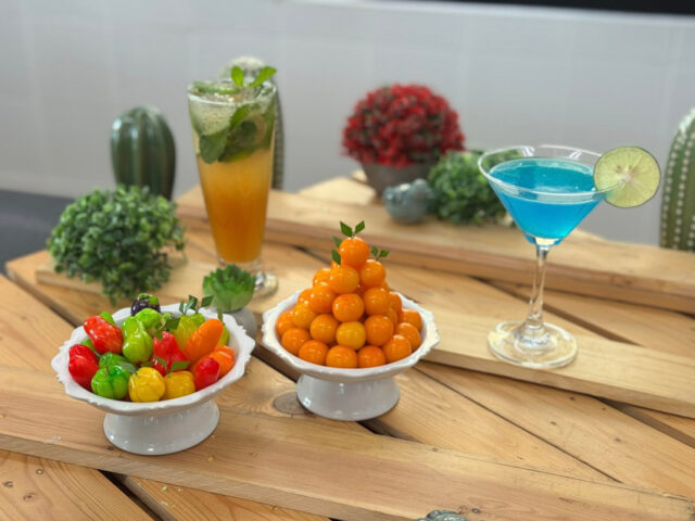 610963908_1838536923754379_3901142971612090431_n