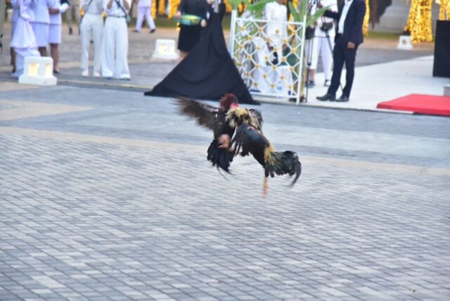 LINE_ALBUM_19169_260119_7